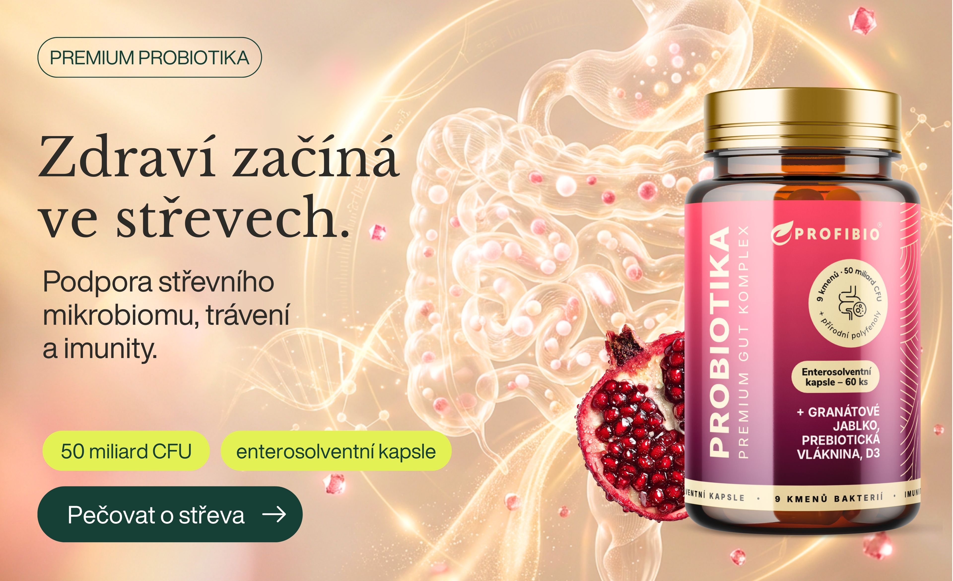 PREMIUM Probiotika GUT KOMPLEX 50 miliard CFU + granátové jablko, prebiotická vláknina, vitamín D3, 60 enterosolventních kapslí (ochrana před žaludeční kyselinou a uvolnění ve střevech)